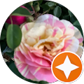 Kathy K. profile picture